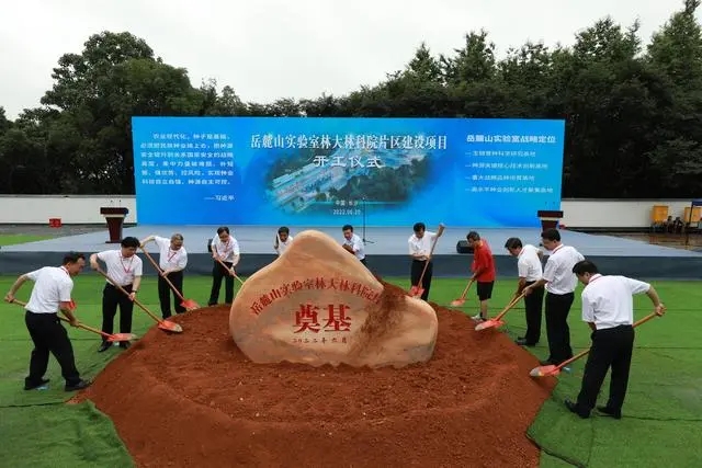 破解“種子遺傳密碼” 岳麓山實(shí)驗室為民族種業(yè)鍛造“湖南芯”