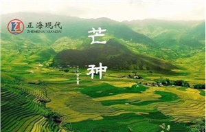 【節氣】今日芒種 ，一個(gè)生猛的節氣到了！保重身體別生病！